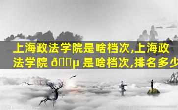 上海政法学院是啥档次,上海政法学院 🐵 是啥档次,排名多少